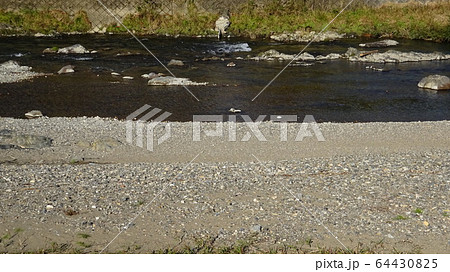 上流・清流・源・源流・ＢＢＱ・境界・水遊び・水難事故・水の事故・懐かしい・故郷・魚採り・魚釣り・自然 64430825