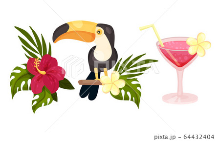 Hawaiian Beach Attributes and Tropical Symbols with Cocktail and Toucan Bird Vector Set 64432404