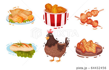 Chicken Food and Snacks with Fried Wings and Roast Chicken Vector Set 64432456