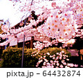 2020桜(建物バック) 64432874