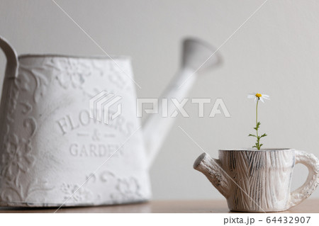 植木鉢の小さな花一輪 64432907