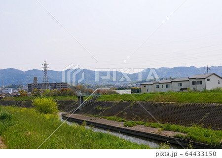 京都市山科川の春の風景(六地蔵~桃山南口) 京都市山科川の春の風景(六地蔵~桃山南口) 64433150