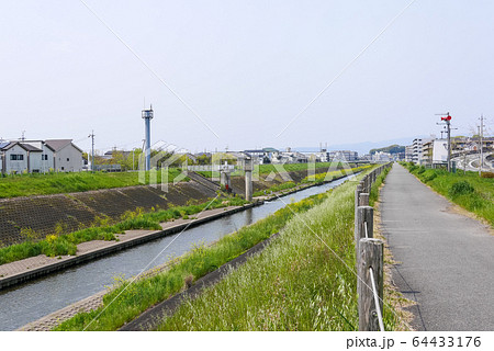 京都市山科川の春の風景（六地蔵～桃山南口） 64433176