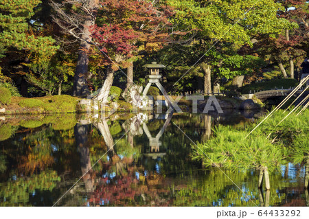 秋の金沢旅行　紅葉真っ盛りの兼六園・徽軫灯籠 64433292