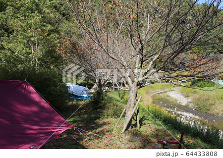 知明湖キャンプ場の風景 知明湖キャンプ場の風景 64433808