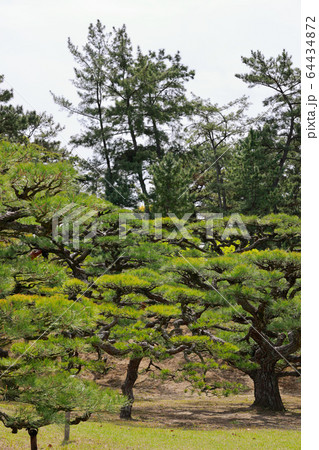 栗林公園 栗林公園 64434872