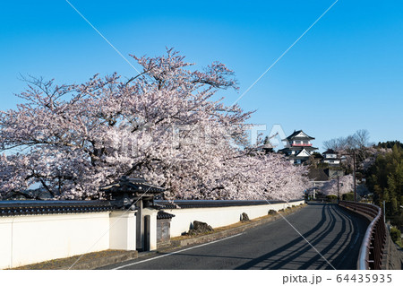 涌谷城満開の桜並木とお城の写真素材 涌谷城満開の桜並木とお城の写真素材