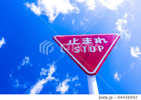 青空に生える一旦停止 64436002