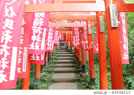 佐助稲荷神社の鳥居 鎌倉 の写真素材