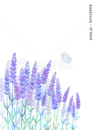ラベンダーと蝶 水彩風のイラスト素材