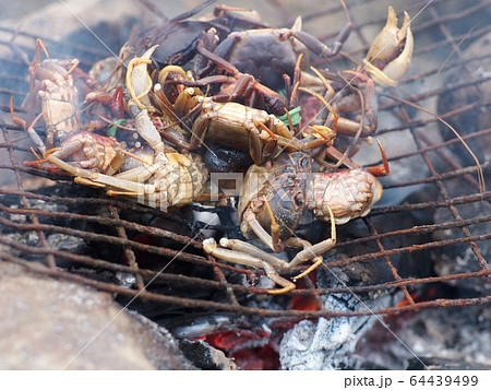 fresh grilled small tasty rice field crabs with traditional charcoal stove as tropical style traditional rural meals and snacks   64439499