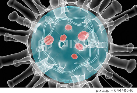 Close up Coronavirus COVID-19 inside Xray 64440646