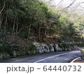 山中道路のコーナー 64440732