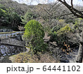 新緑の山肌と山道 64441102