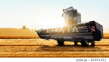 Combine harvester on the wheat field. 64441331