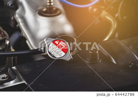 Radiator cap is opened place on radiator. 64442786