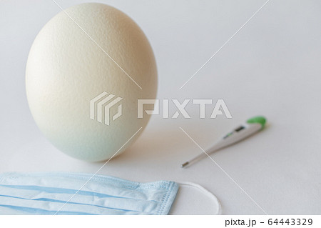 Large white easter ostrich egg, medical mask and thermometer. Egg, respirator and thermometer. Easter and Coronavirus, Covid-19. Ostrich egg, medical mask and thermometer on a white background. Large white easter ostrich egg, medical mask and thermometer. Egg, respirator and thermometer. Easter and Coronavirus, Covid-19. Ostrich egg, medical mask and thermometer on a white background. 64443329