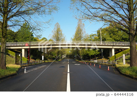 東京多摩市メタセコイア通りの歩道橋 東京多摩市メタセコイア通りの歩道橋 64444316