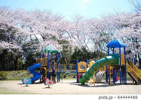 遊具と桜 遊具と桜 64444489