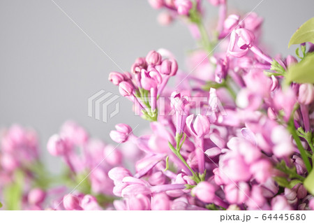 Closeup of lilac flowers. Spring bouquet in a wicker basket.. Learning flower arranging, making beautiful bouquets with your own hands. Flowers delivery 64445680