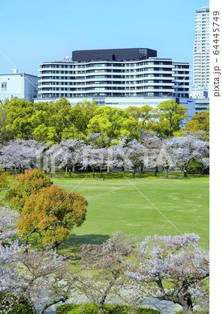 大阪国際がんセンター 大阪国際がんセンター 64445749
