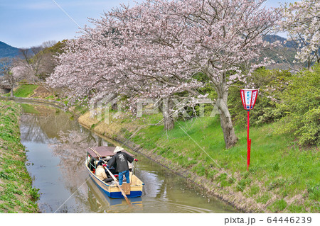 【水郷めぐり】 滋賀県近江八幡市円山町 【水郷めぐり】 滋賀県近江八幡市円山町 64446239