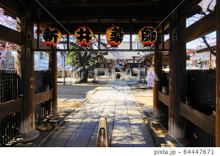 3月　中野56新井薬師梅照院山門･中野通り桜まつり 64447671