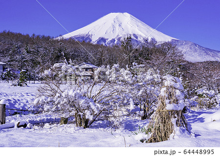 (山梨県)忍野・富士山・雪景色 (山梨県)忍野・富士山・雪景色 64448995