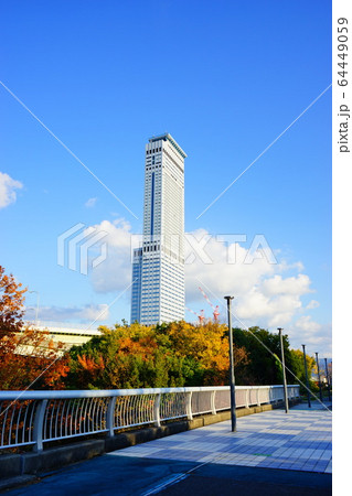 りんくう公園 大阪府 64449059