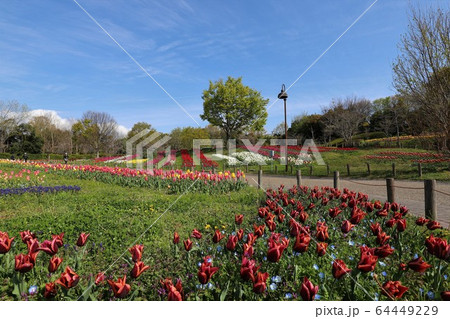 馬見丘陵公園の春景色 馬見丘陵公園の春景色 64449229