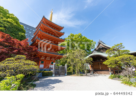 東長寺（とうちょうじ）福岡県福岡市博多区 64449342