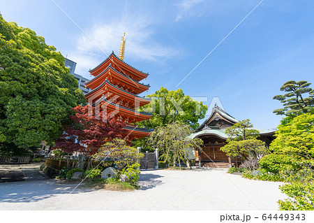 東長寺(とうちょうじ)福岡県福岡市博多区 東長寺(とうちょうじ)福岡県福岡市博多区 64449343