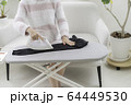 アイロンをかける女性 64449530