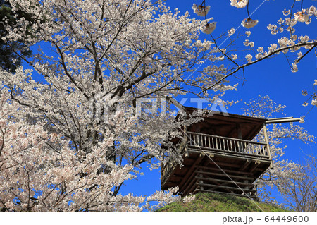 大山公園 春爛漫 大山公園 春爛漫 64449600