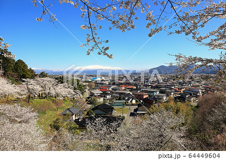 大山公園　春爛漫 64449604