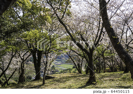 公園 公園 64450115