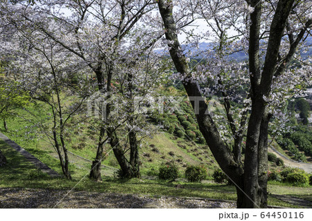 公園 公園 64450116