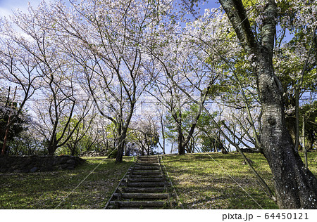 公園 公園 64450121