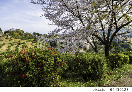 公園 公園 64450123