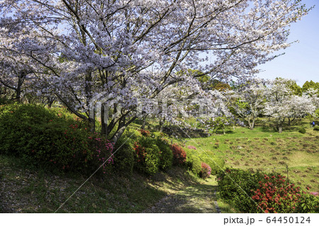 公園 公園 64450124