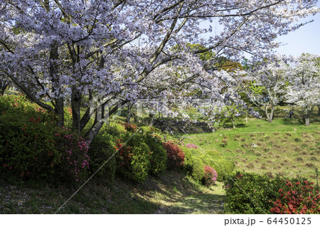 公園 公園 64450125