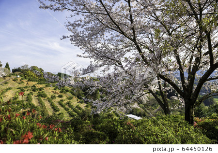 公園 公園 64450126