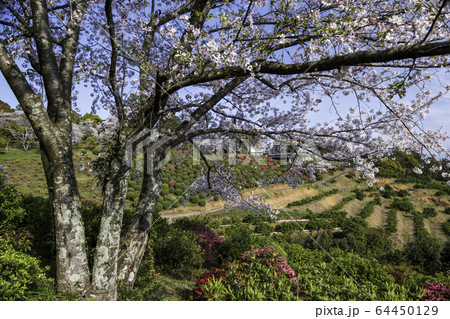 公園 公園 64450129