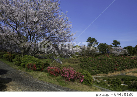 公園 公園 64450130