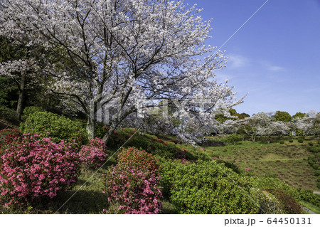 公園 公園 64450131