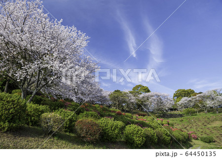 公園 公園 64450135