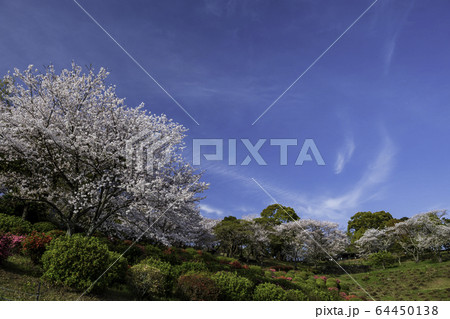 公園 公園 64450138