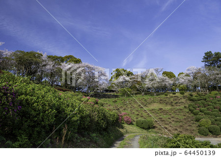 公園 公園 64450139