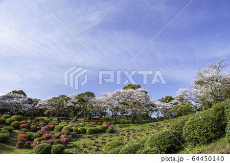 公園 64450140