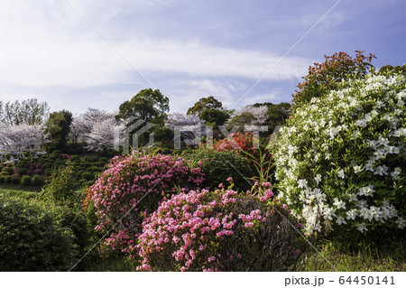 公園 公園 64450141